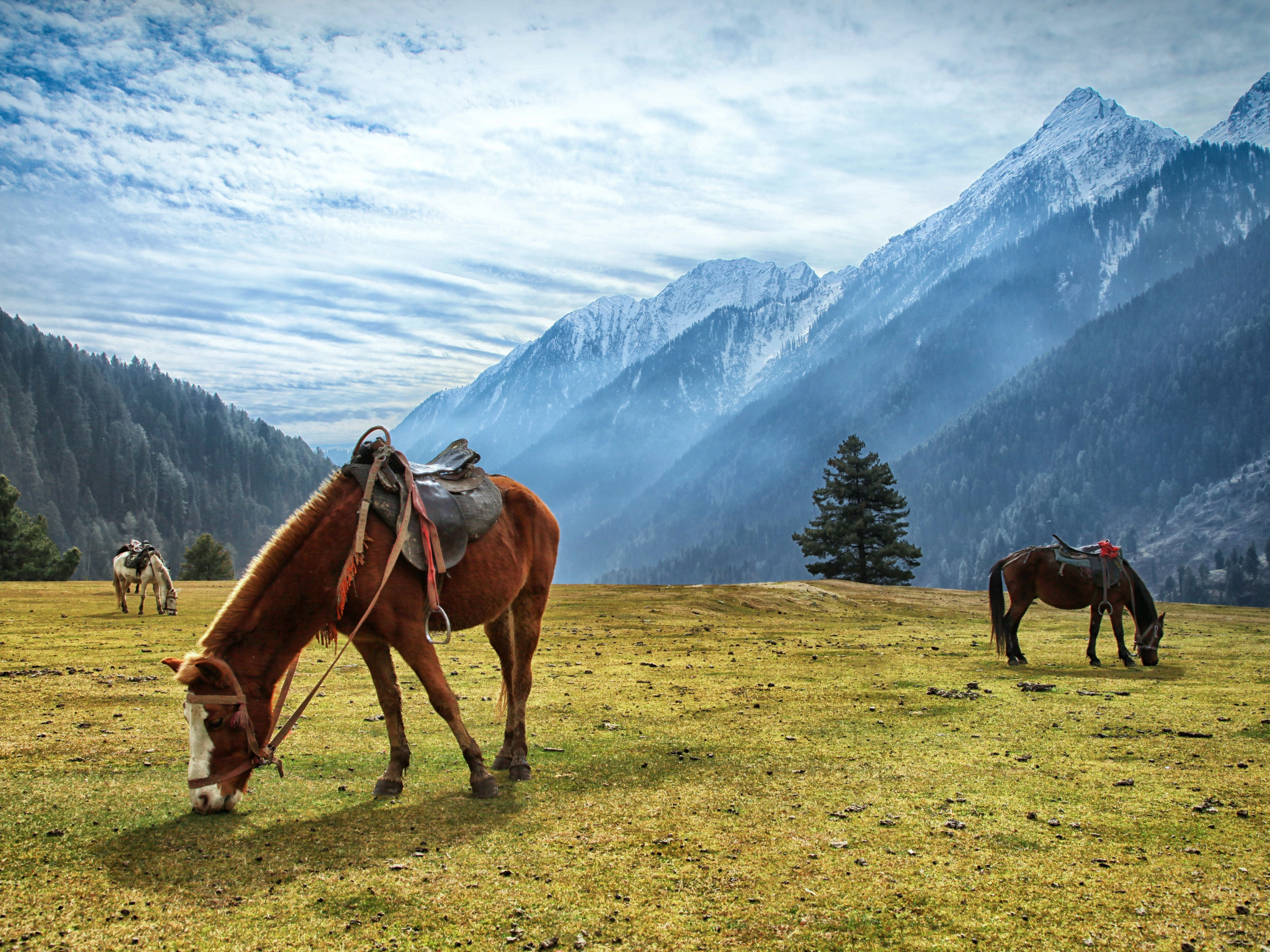 Pahalgam